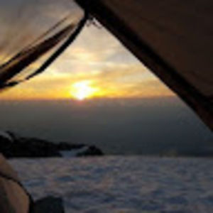 Meet your Posher, Lucy